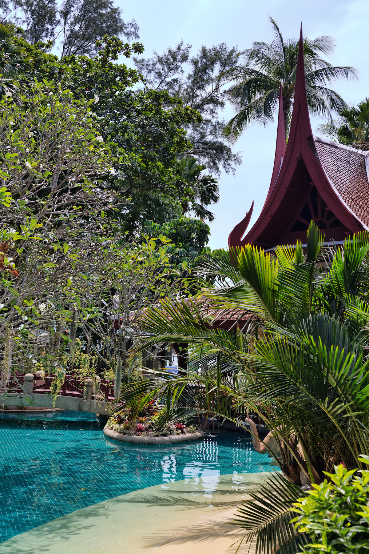 Clean pool with palm trees