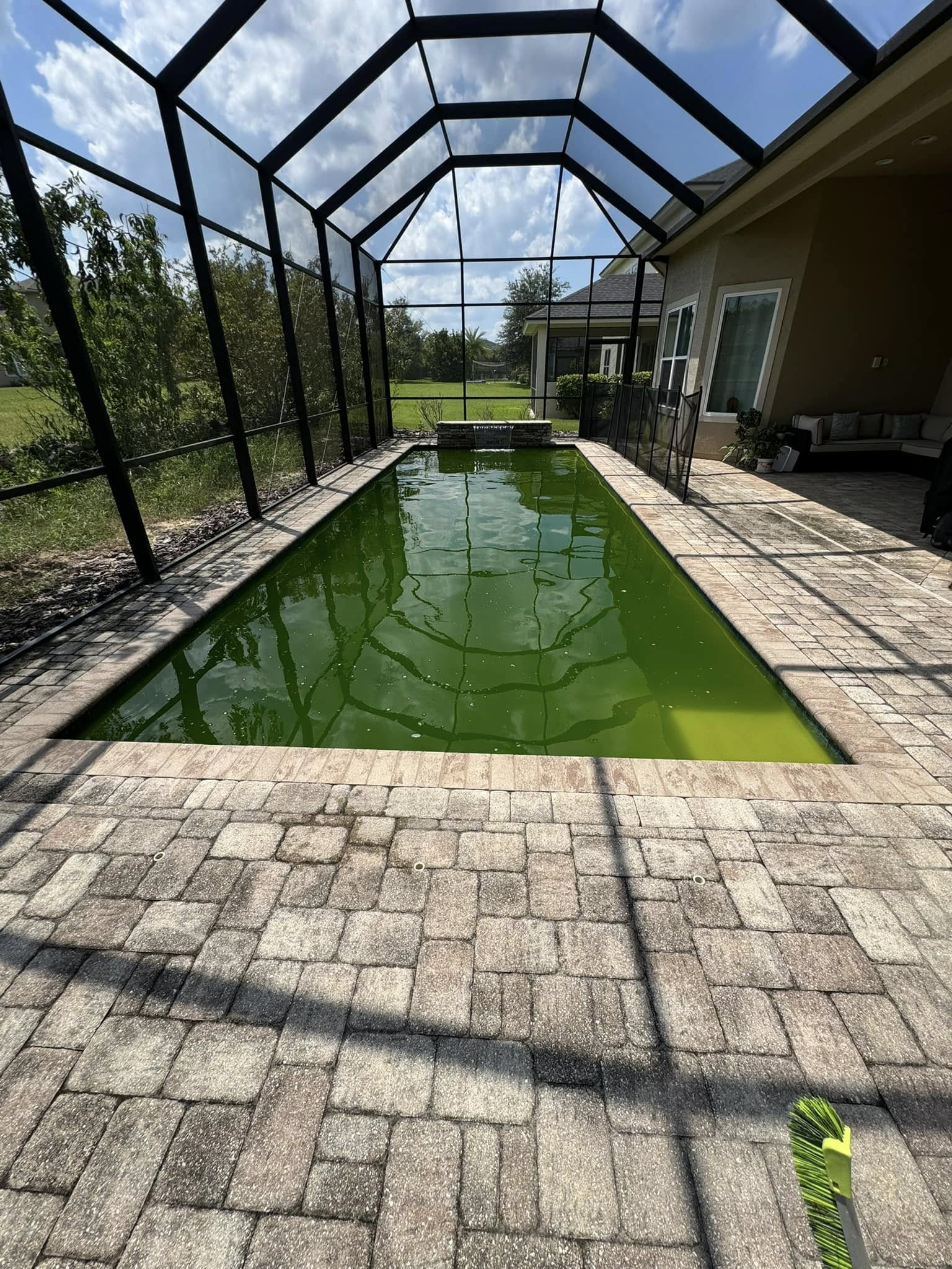 Pool before renovation — neglected and green