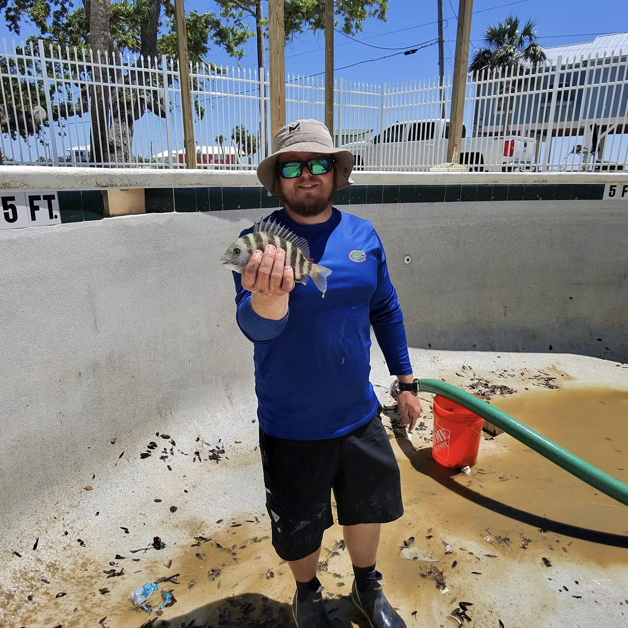 Pool Renovation